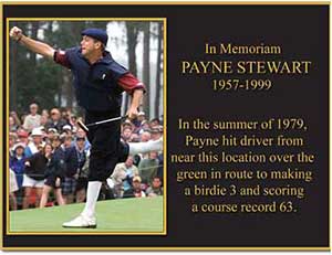 color picture plaque